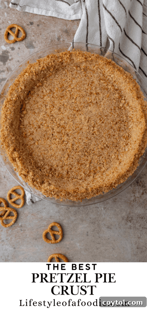 The Ultimate Salty Sweet Pretzel Pie Crust 17 Close-up of crispy pretzel pie crust texture, perfect for a sweet or savory filling.