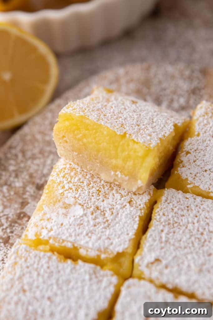 Close-up of a small batch lemon bar, showing the texture of the filling and the dusting of powdered sugar.