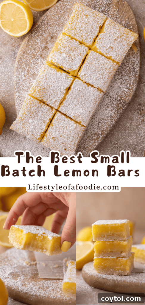 A top-down shot of several small batch lemon bars arranged beautifully, ready to be served.