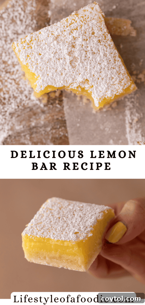 Close-up of small batch lemon bars, highlighting the powdered sugar dusting and the clean edges.