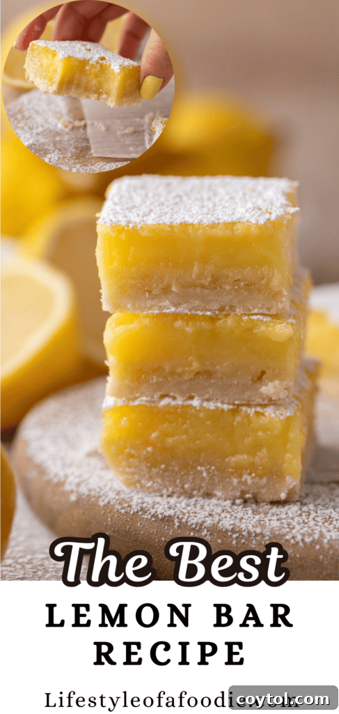 Small batch lemon bars on a serving plate, featuring the golden crust and creamy lemon filling.
