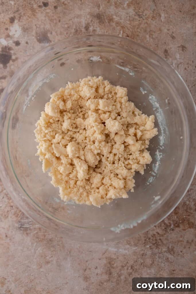 Mixed crust ingredients forming a cohesive dough in a bowl, ready to be pressed.