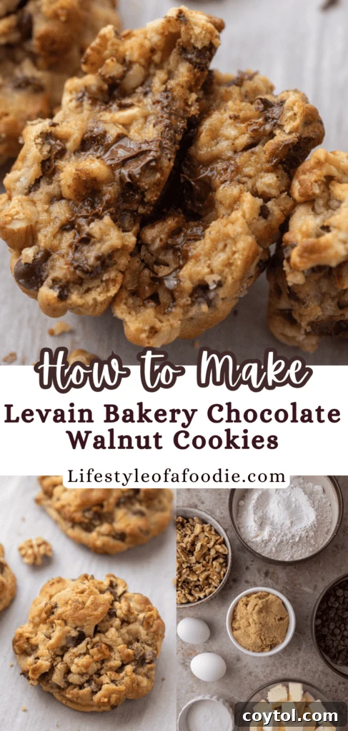 Levain Bakery Chocolate Chip Walnut Cookies