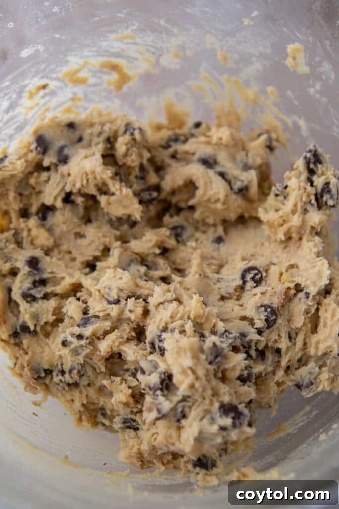 mixed ingredients in a bowl