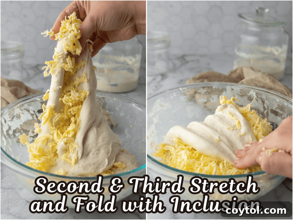 Sourdough dough being stretched and folded with visible pieces of grated butter, illustrating the lamination process.