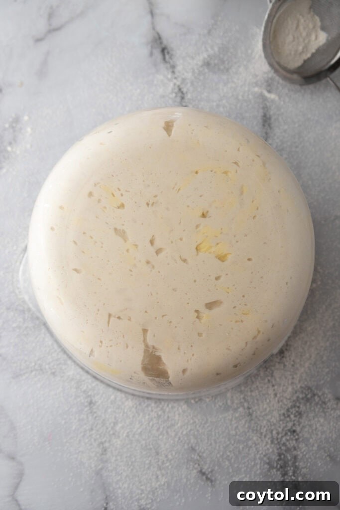 Sourdough dough after bulk fermentation, significantly risen with prominent air bubbles, indicating readiness for shaping.