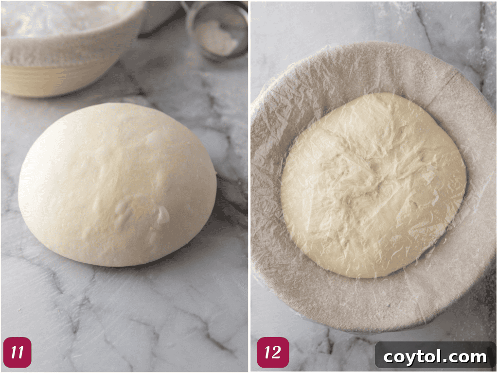 The shaped sourdough boule resting in a banneton, covered and ready for cold proofing, showing its smooth surface.