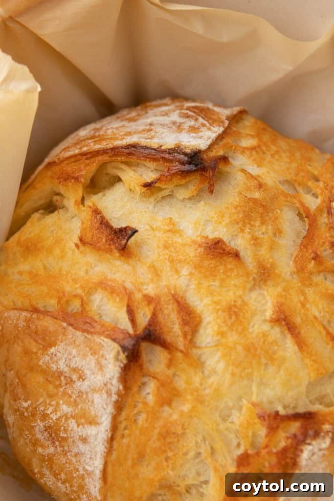 A perfectly baked, rustic loaf of Croissant Sourdough Bread with a beautiful, deeply golden crust.