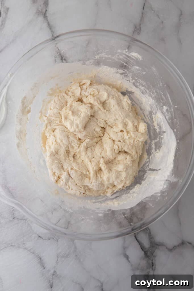 All dough ingredients thoroughly mixed in a bowl, forming a cohesive mass ready for the next stage of fermentation.