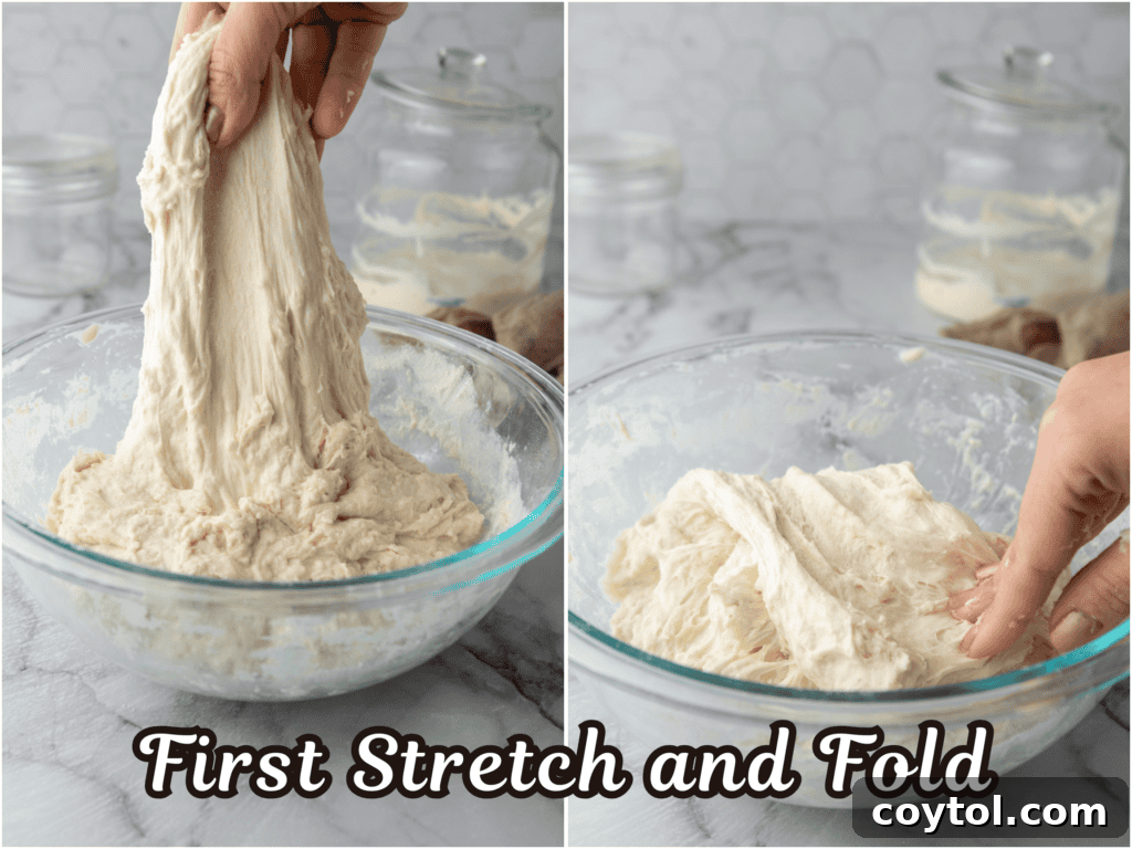 Dough being expertly stretched and folded, demonstrating the technique to build gluten strength and incorporate air.
