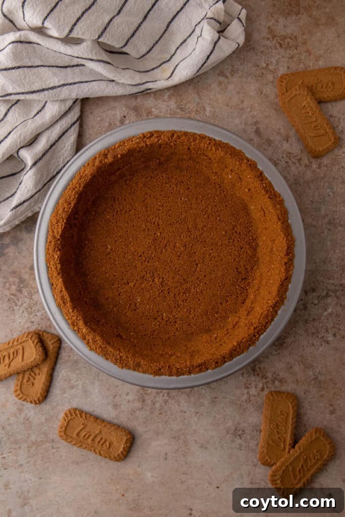 Unlock the Secret to the Perfect Biscoff Pie Crust 11 A perfectly formed Biscoff pie crust in a metal pie plate, ready to be filled with any delicious pie filling.