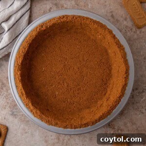 Unlock the Secret to the Perfect Biscoff Pie Crust 13 Biscoff pie Crust Recipe overhead shot