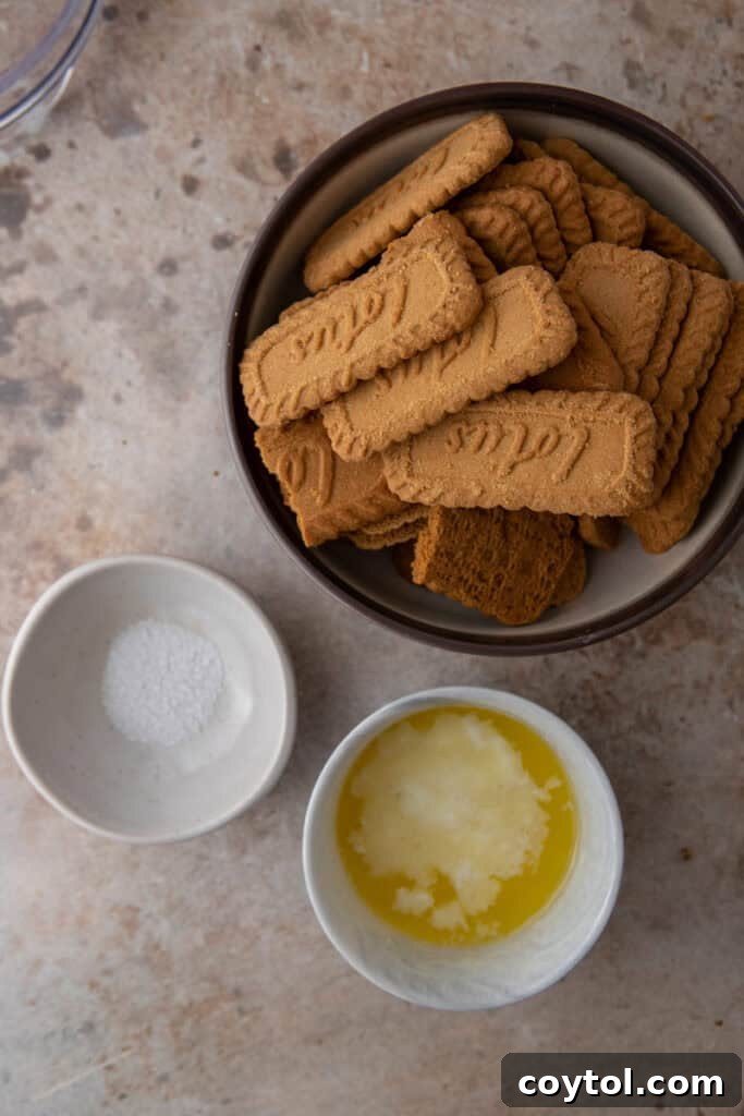 Unlock the Secret to the Perfect Biscoff Pie Crust 3 Ingredients for a Biscoff cookie crust, including cookies, butter, and salt, laid out on a kitchen counter.