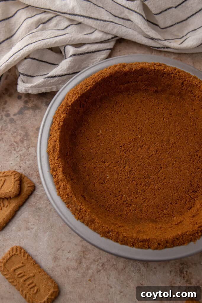 Unlock the Secret to the Perfect Biscoff Pie Crust 4 Close-up overhead shot of a Biscoff pie crust, showing its crumbly texture and golden-brown color.