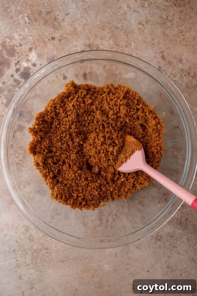 Unlock the Secret to the Perfect Biscoff Pie Crust 7 Biscoff cookie crumbs mixed with melted butter and salt, resembling wet sand in a bowl.
