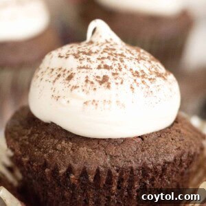 Chocolate cupcake with a dollop of cream cheese frosting and a light dusting of Hershey's cocoa