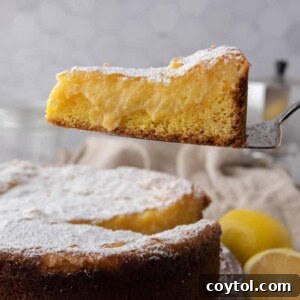 gooey butter lemon cake recipe slice in the air