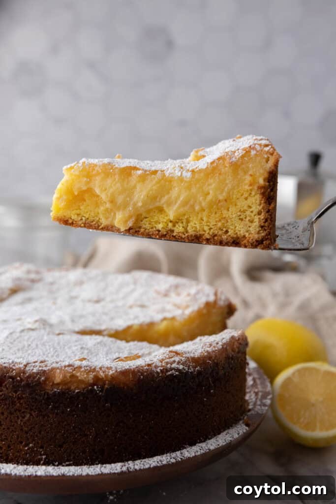 gooey butter lemon cake
recipe slice in the air