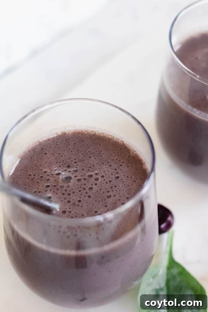 Vegan high protein chocolate smoothie
