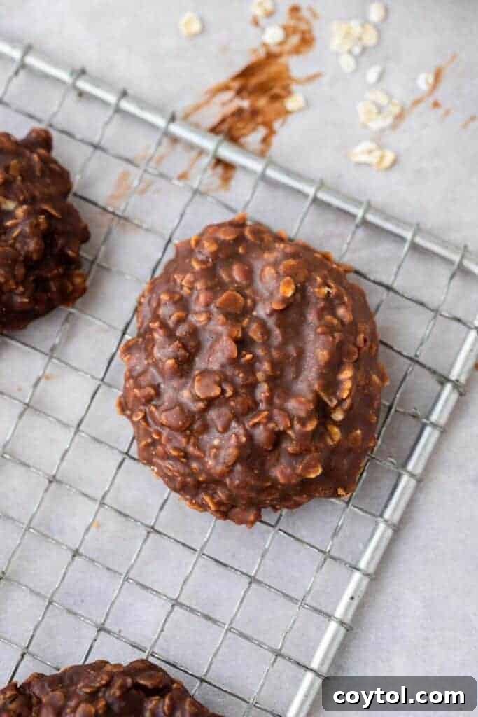Classic no-bake chocolate oatmeal cookies recipe on a cooling rack, showcasing their rich color and texture.