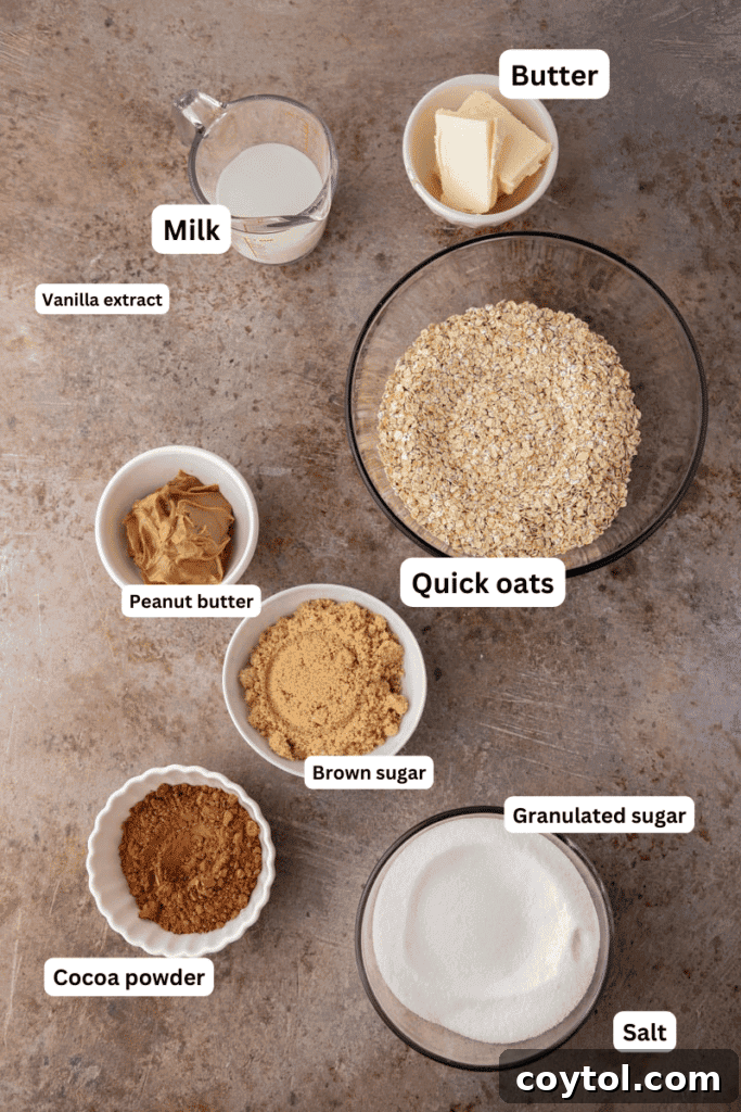 A selection of ingredients for no-bake chocolate oatmeal cookies laid out on a kitchen counter, ready for preparation.