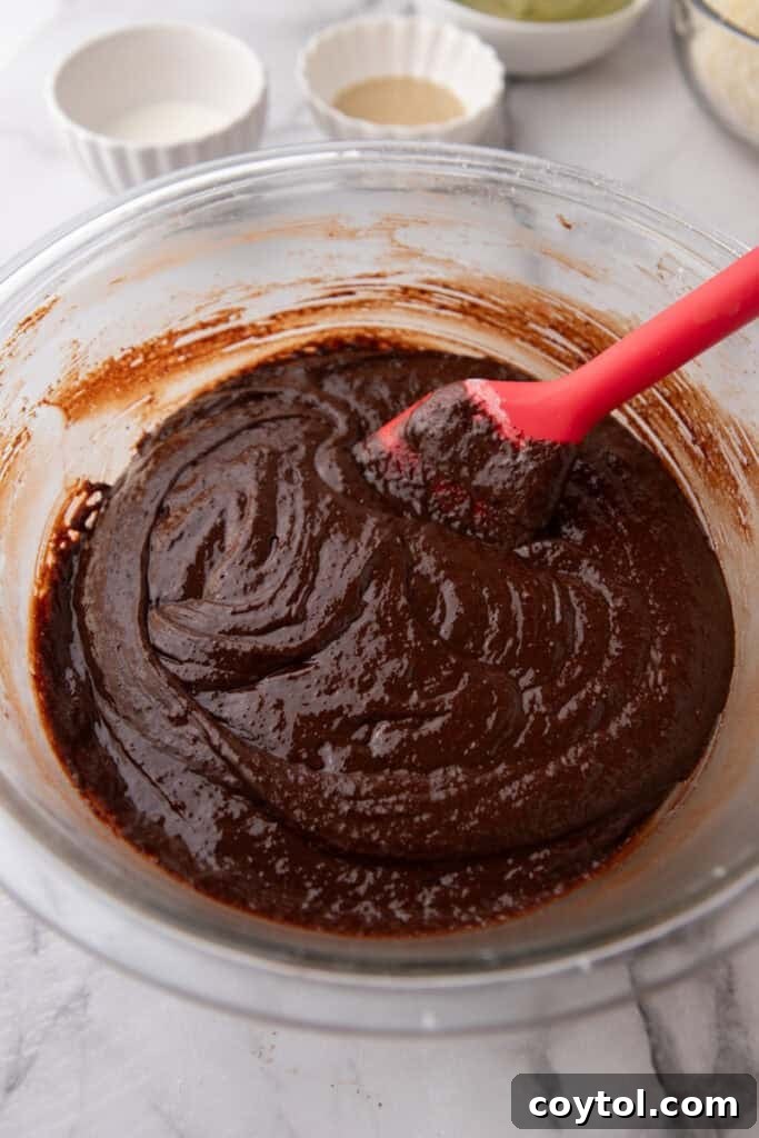 Brownie batter after dry ingredients have been folded in.