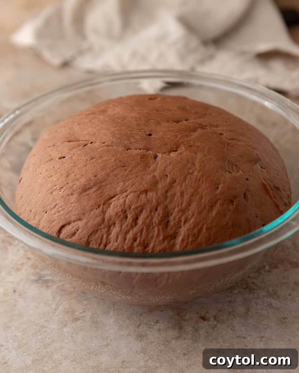 Chocolate cinnamon roll dough after first rise in a glass bowl