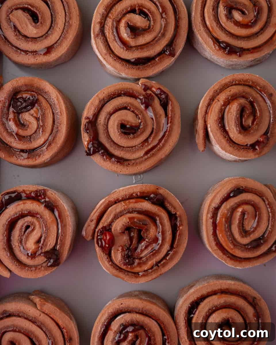Unbaked Black Forest cinnamon rolls filled with chocolate and cherry filling