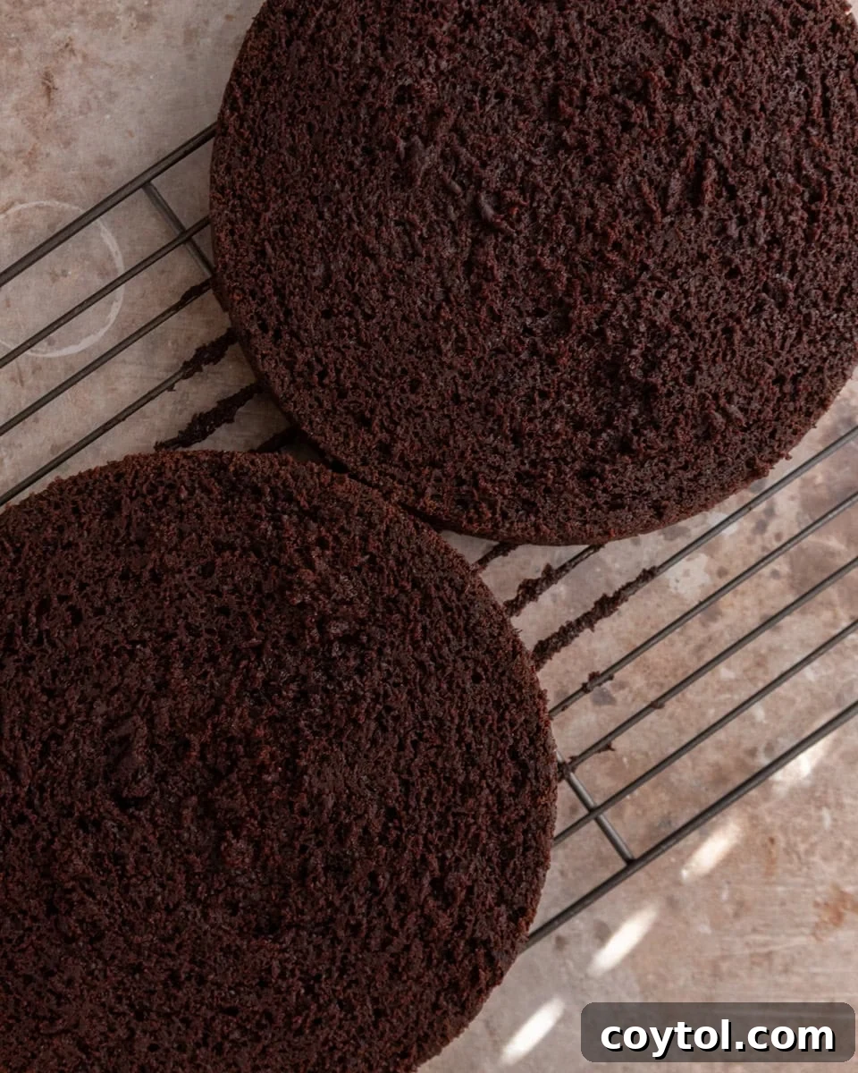 Chocolate cake sliced in half