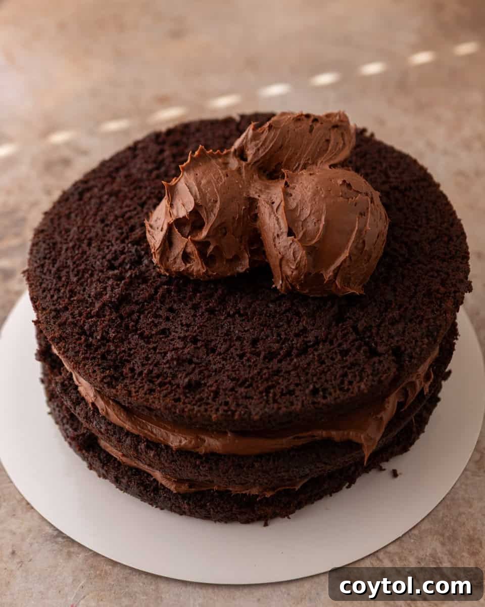 Chocolate beet cake stacked with frosting between the layers