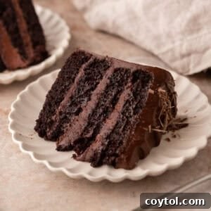 Ultimate Chocolate Beet Cake