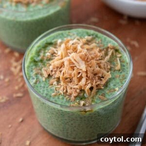 Matcha chia pudding topped with toasted coconut in a glass bowl, showcasing its vibrant green color and creamy texture.