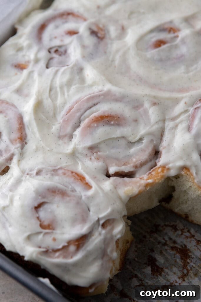 Pan of frosted sourdough discard cinnamon rolls with one roll removed showing soft layers