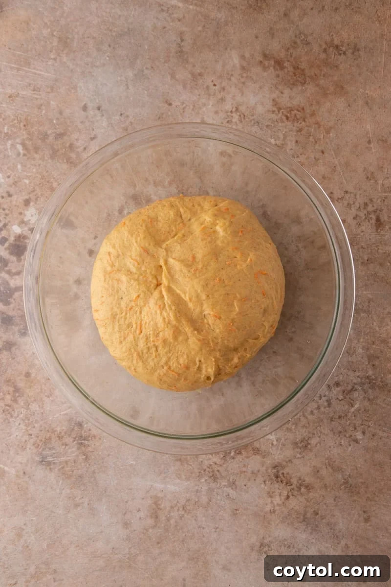 Cinnamon roll dough in a glass bowl before rising, with visible orange flecks from shredded carrots