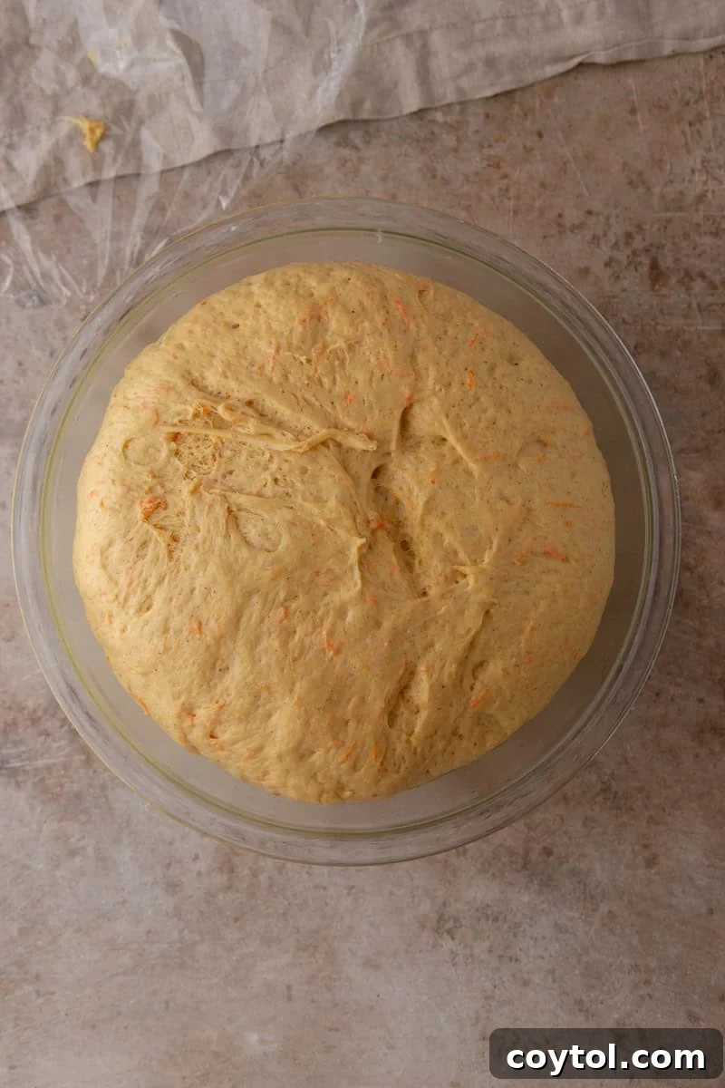 Cinnamon roll dough doubled in size after rising in a glass bowl, with orange carrot flecks visible
