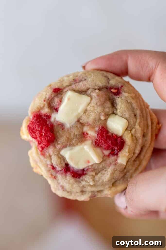 Effortless Easter Treats: Over 20 Recipes for a Memorable Spring Feast 4 Hand holding a chewy raspberry white chocolate chip cookie with chunks of white chocolate and fresh raspberries baked in
