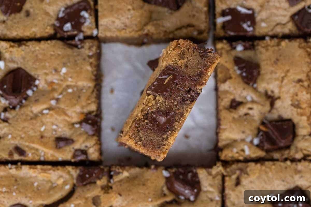 Overhead view of delectable brown butter chocolate chip blondies, neatly sliced into squares, with one piece gently tilted to showcase its chewy, fudgy interior studded with melted chocolate chunks, a golden standard.