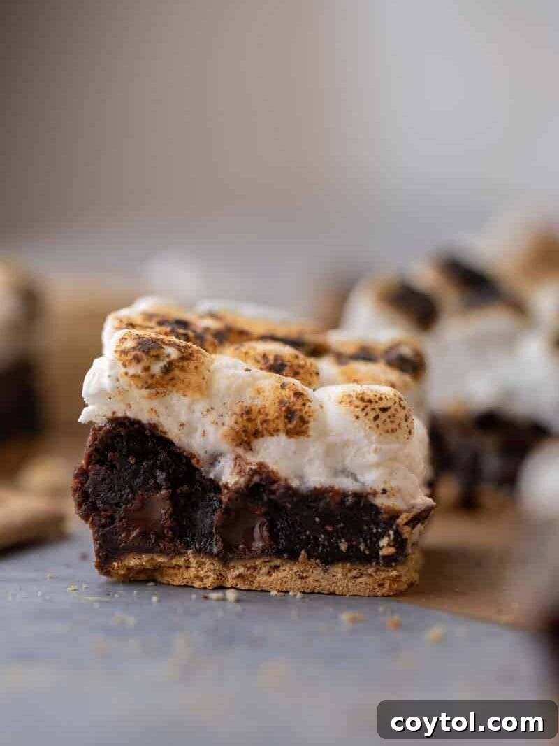 A delectable S'mores brownie bar, showcasing its three inviting layers: a golden graham cracker crust base, a rich, fudgy chocolate brownie middle, and irresistibly toasted marshmallows crowning the top, perfect for any time of year.