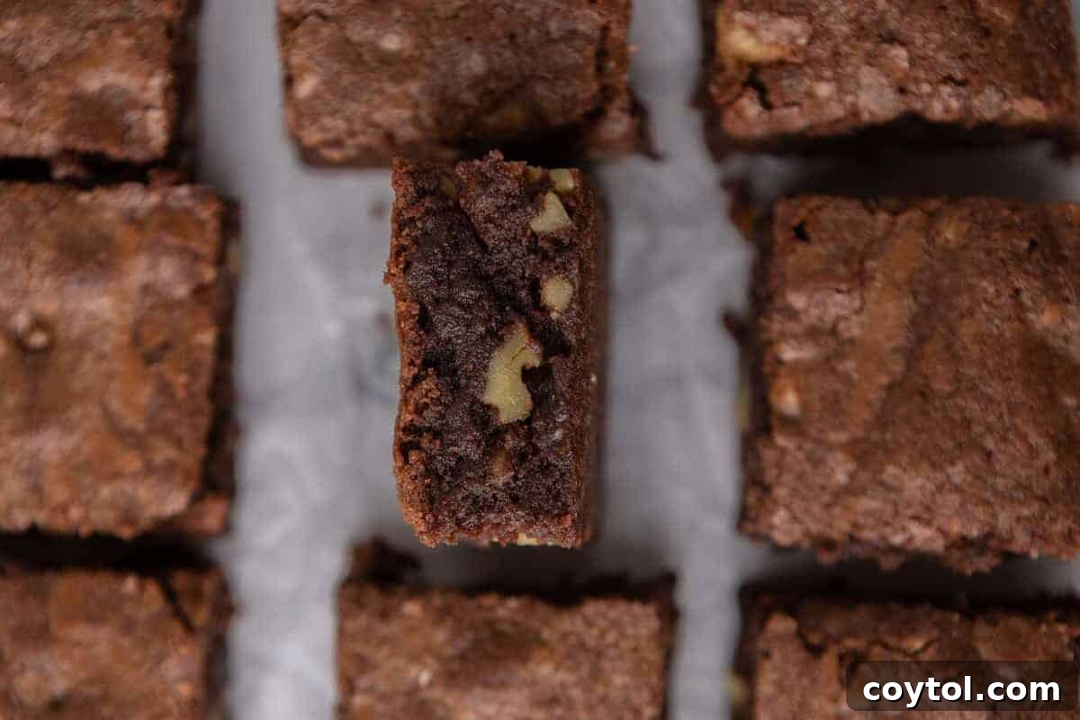 Delicious fudge walnut brownies, neatly sliced into squares, with one piece tilted to show its dense chocolate interior generously studded with chopped walnut pieces, a deeply satisfying classic.