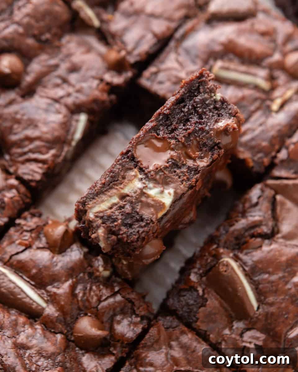 Andes Mint Brownies with a rich, fudgy texture and crinkly tops, loaded with Andes mint chocolate chips, creating a delightful chocolate-mint flavor, irresistible for mint lovers.