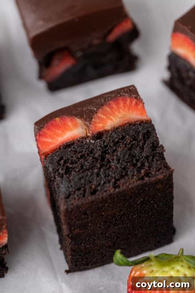 A sumptuous chocolate covered strawberry brownie square, featuring a thick, fudgy brownie base lavishly topped with rich chocolate ganache and artfully arranged fresh strawberry slices, perfect for Valentine's Day.