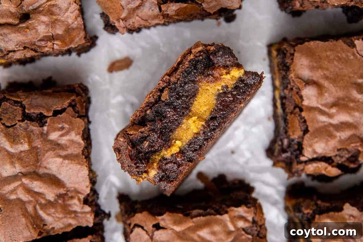 Delicious pumpkin cheesecake brownies, neatly sliced into squares, with one piece tilted to show the luscious spiced pumpkin cheesecake layer running through the center of the fudgy chocolate brownie, a fall favorite.
