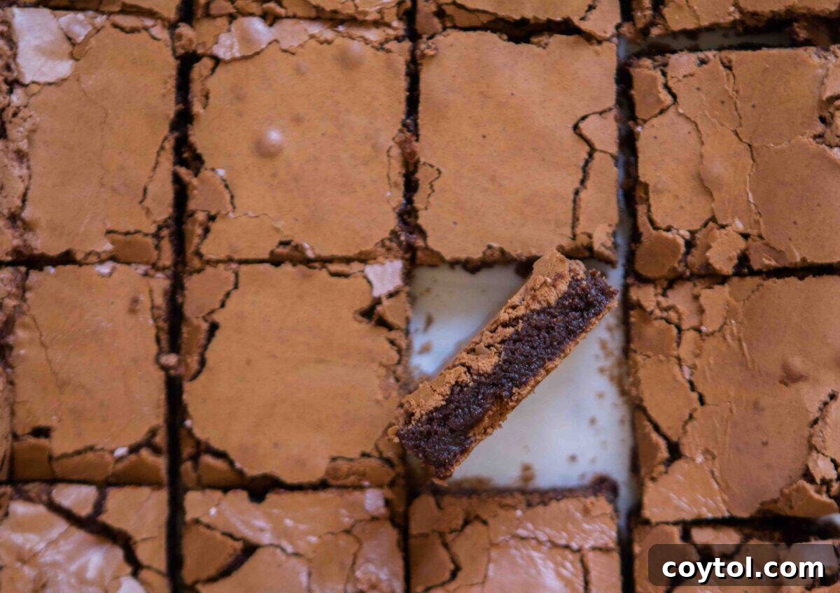 Overhead view of chewy cocoa powder brownies sliced into perfect squares, with one piece tilted to showcase its thick, fudgy center and iconic crinkly meringue-like top, ready in 30 minutes.