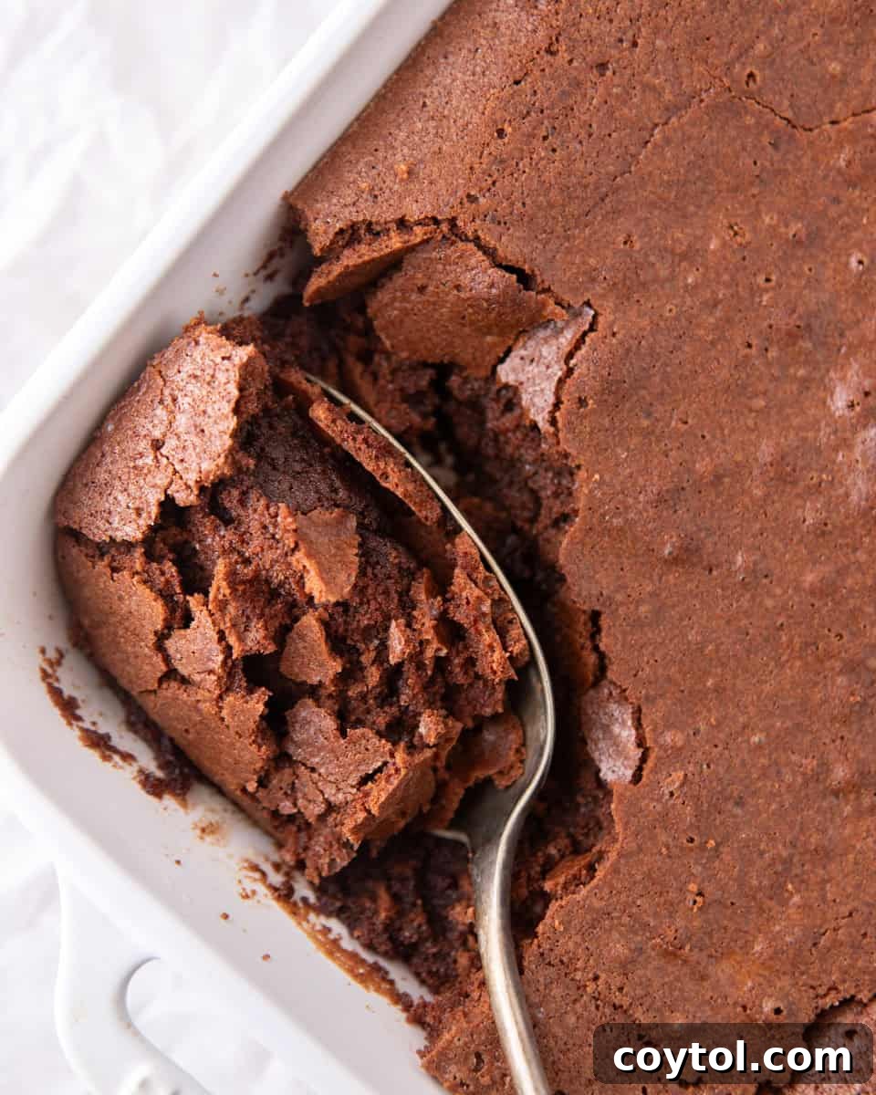 Ina Garten's brownie pudding, served in a white baking dish with a spoon scooping out the rich, fudgy, spoonable center nestled beneath the chewy brownie top, yes, it's really that good.