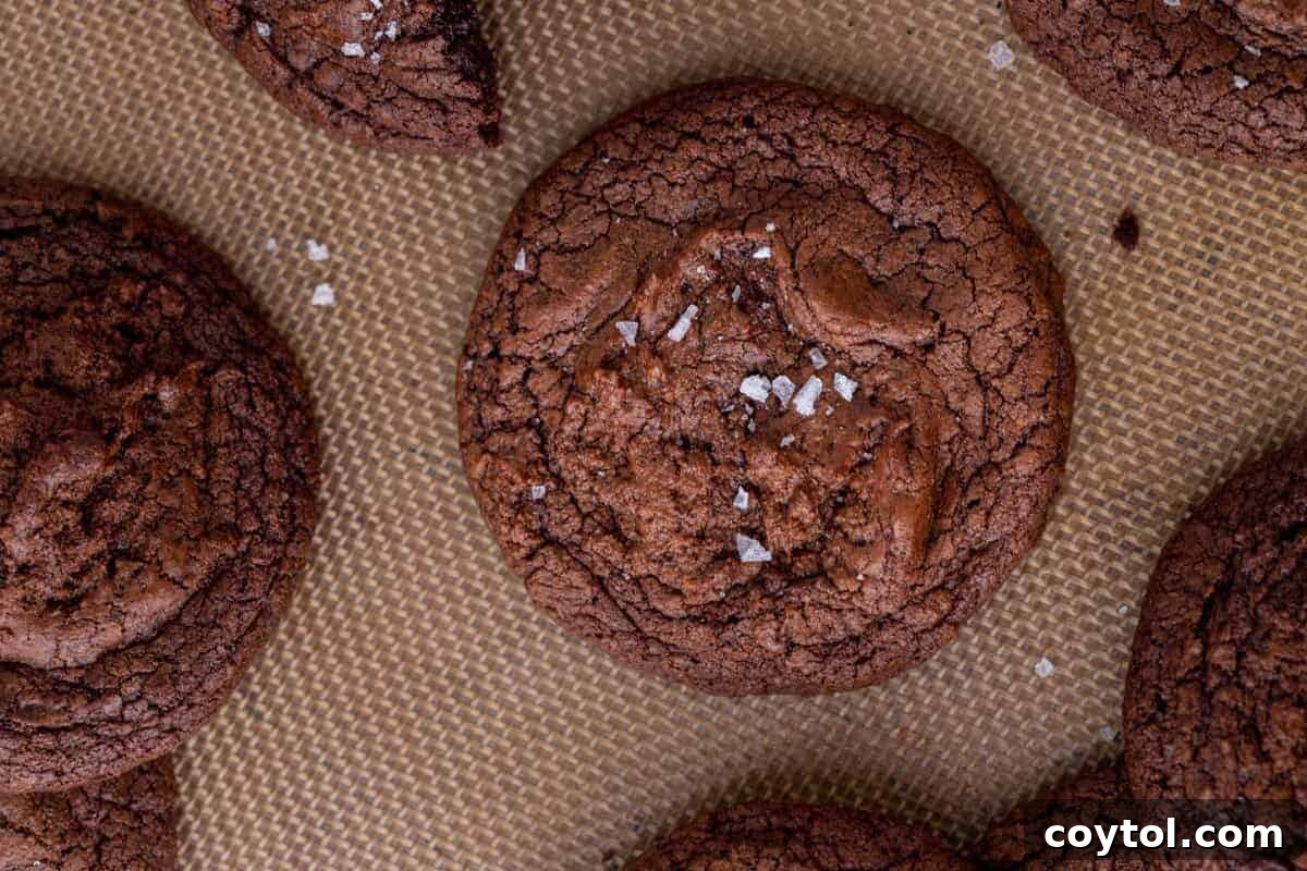 Overhead view of fudgy brownie cookies with beautifully crinkly tops and a sprinkle of flaky sea salt, arranged on a silicone baking mat, ready in under 30 minutes.