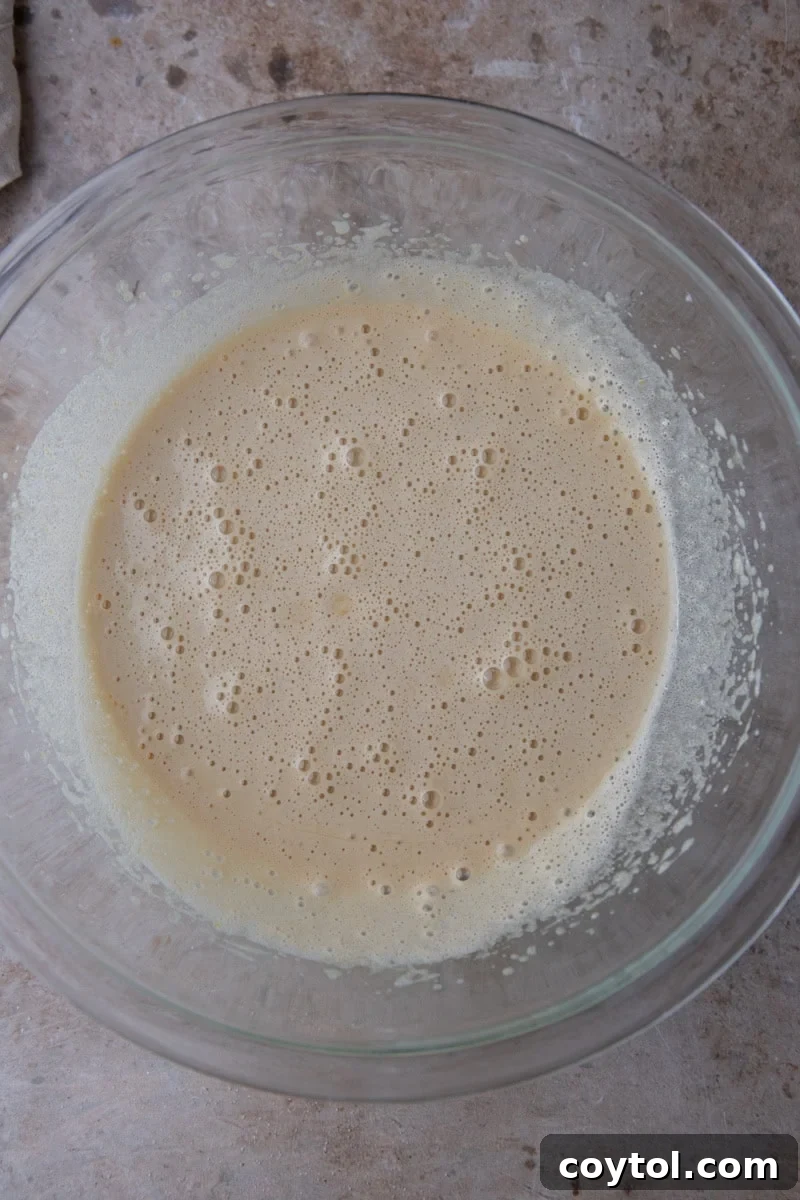 Thick pale whipped egg and sugar mixture with tiny bubbles for brownie batter
