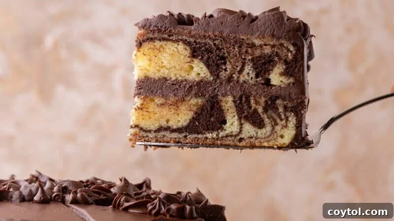 Slice of layered marble cake with rich chocolate cream cheese frosting lifted on a cake server, revealing perfectly distinct vanilla and chocolate swirls
