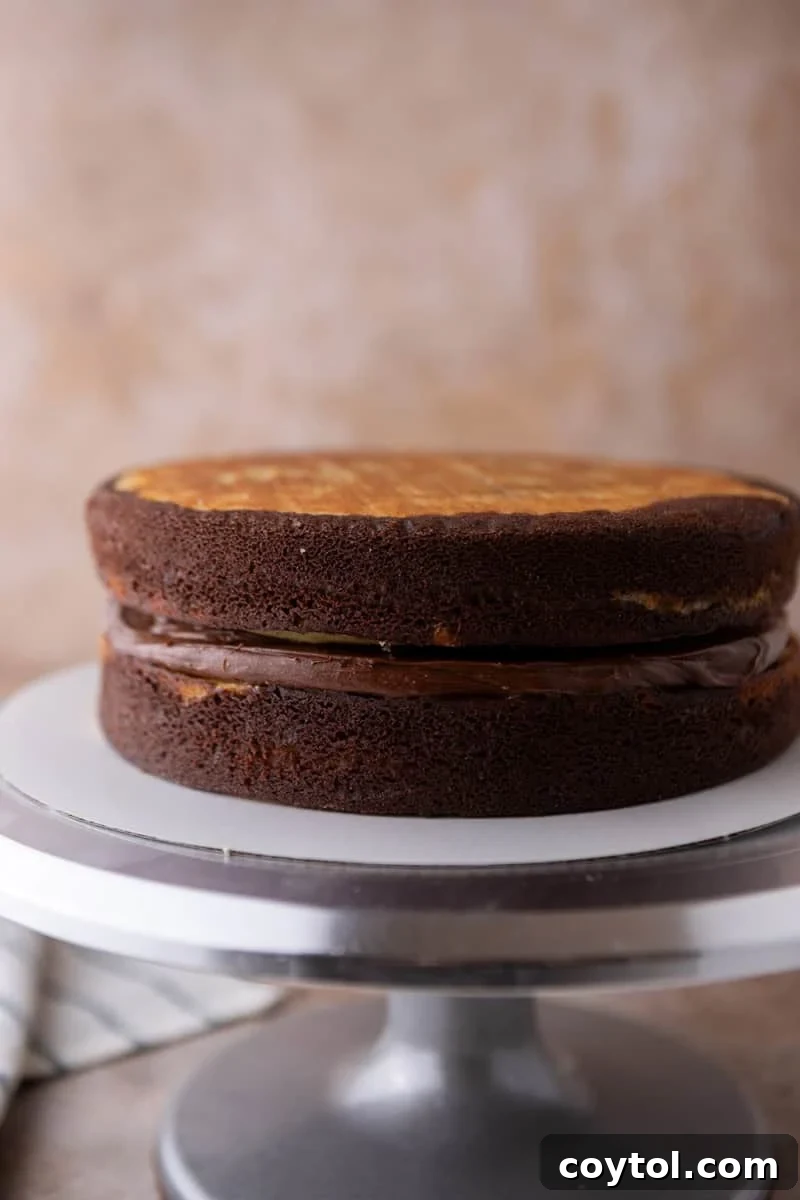 Two perfectly baked marble cake layers stacked on a cake stand, with a generous layer of chocolate cream cheese frosting already spread between them