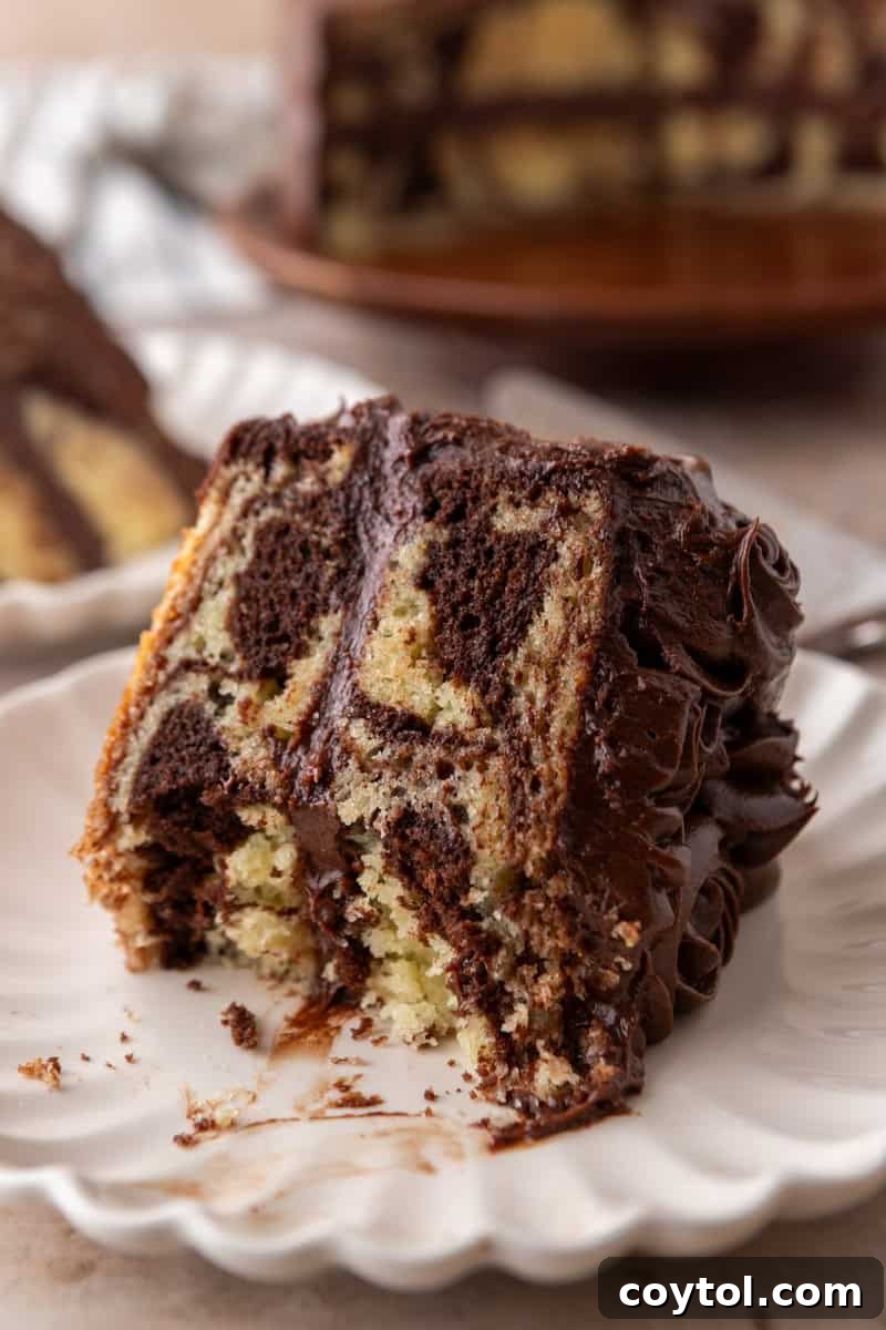 Close-up of a marble cake slice, clearly showing the moist crumb texture and the bold, distinct chocolate and vanilla swirl pattern within the cake