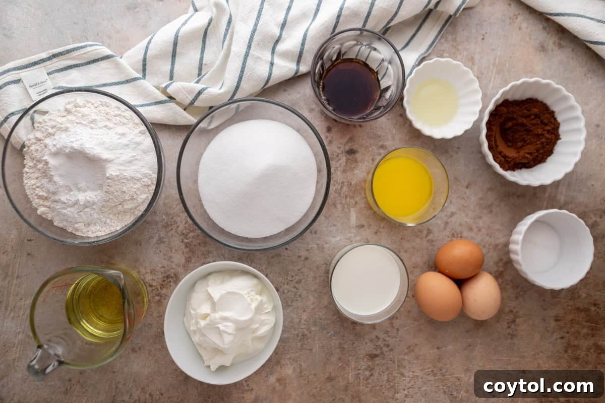 A flat lay photograph displaying all the essential ingredients for the marble cake: flour, sugar, eggs, sour cream, vegetable oil, melted butter, milk, vanilla extract, and Dutch-process cocoa powder
